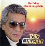 Cover of Un falco chiuso in gabbia, 2008, CD