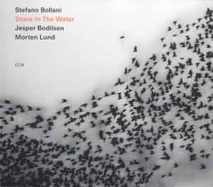 Stefano Bollani Trio - Stone In The Water album cover