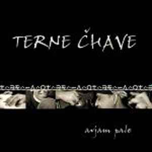 Terne Čhave - Avjam Pale album cover