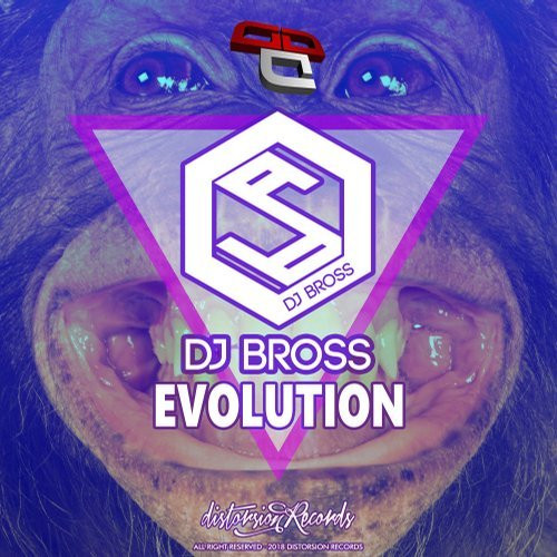 ladda ner album DJ Bross - Evolution