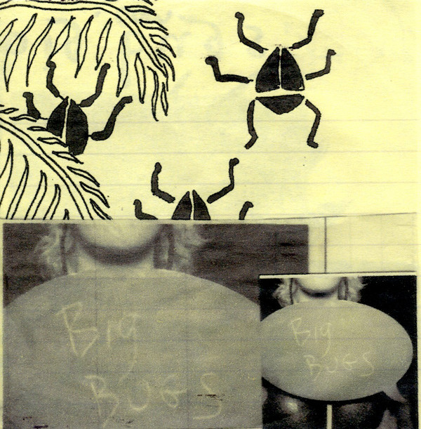 télécharger l'album Big Bugs - Big Bugs