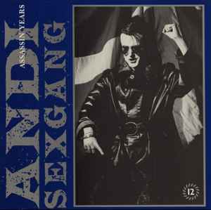 Andi Sex Gang - Assassin Years album cover