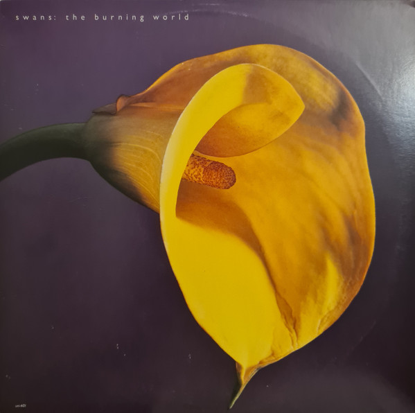 Swans – The Burning World (1989, Vinyl) - Discogs