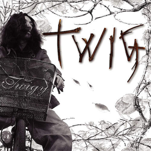 Twigy – Twig (2006, CD) - Discogs