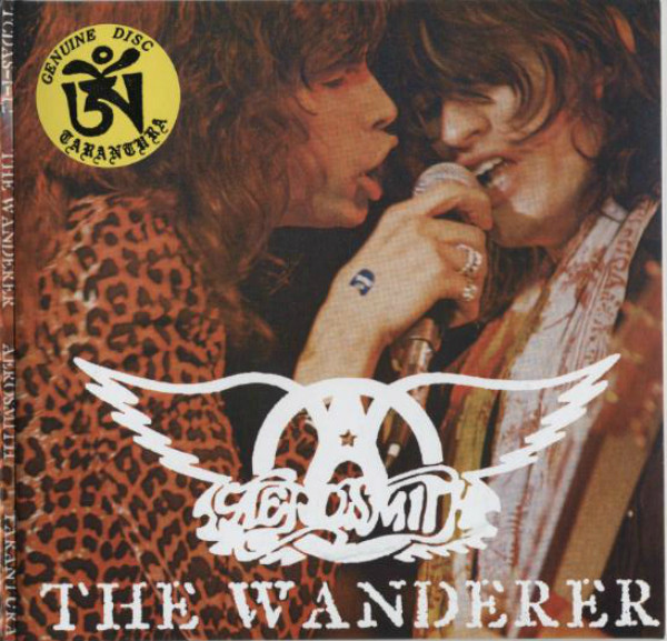 baixar álbum Aerosmith - The Wanderer