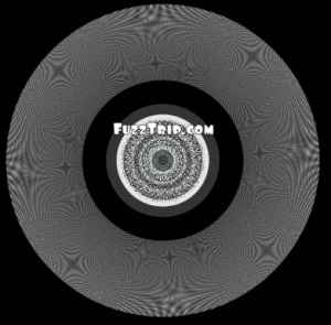 FuzzTrip at Discogs