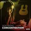 Various - Soothing Concentration 015