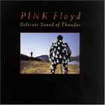 Cover of Delicate Sound Of Thunder, 1988, CD