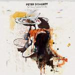 Peter Doherty – Grace/Wastelands (2009, Vinyl) - Discogs
