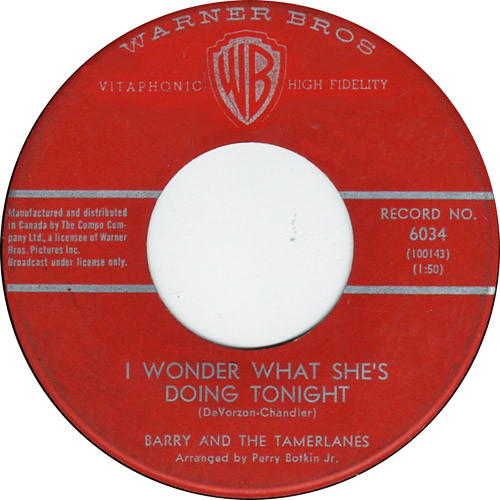 Barry And The Tamerlanes – I Wonder What She's Doing Tonight (1963