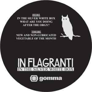 In Flagranti - In The Silver White Box album cover