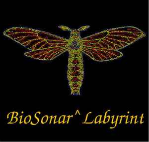 BioSonar^Labirint on Discogs