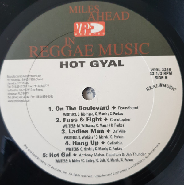 baixar álbum Various - Hot Gyal