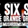 Six Orange Mushrooms - Resizing Sandra Bullock