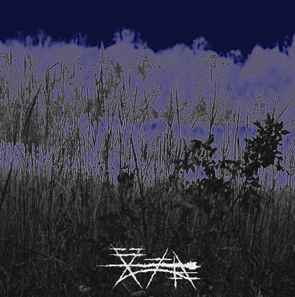 Ajilvsga - Asleep Amongst The Thick Weeds