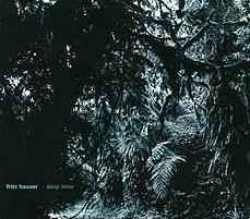 Fritz Hauser - Deep Time Album-Cover