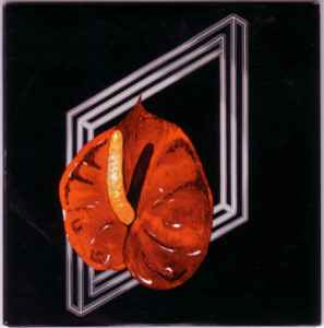 Kas Product - 1980-83 album cover