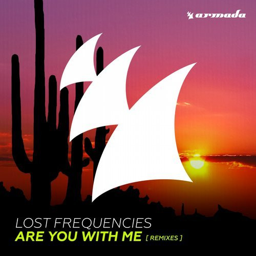 Are You With Me - Lost Frequencies.  Lost frequencies, Music quotes, Cool  lyrics