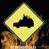 Slow Burning Car - I Saw The Mountain / Slow Burning Car