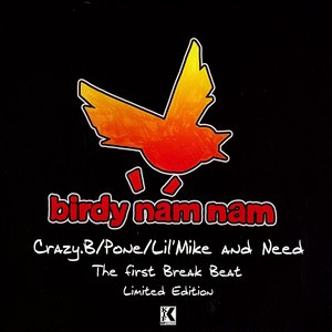 baixar álbum Birdy Nam Nam - The First Break Beat