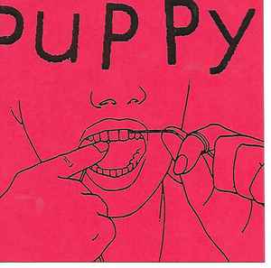 Puppy vs. Dyslexia - Let's Foam album cover