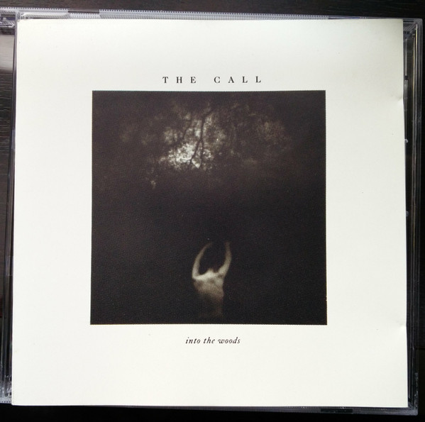 The Call – Into The Woods (1987, CD) - Discogs