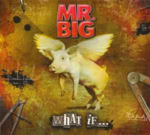 What If... - Mr. Big