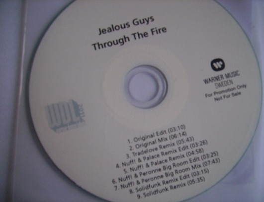 baixar álbum Jealous Guys - Through The Fire