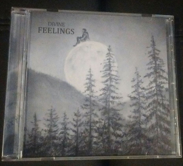 Album herunterladen Divine - Feelings