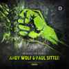 Andy Wolf (2) & Paul Sitter* - Release The Power