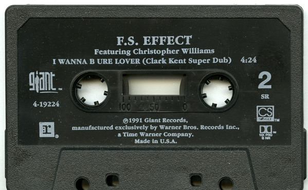 baixar álbum FS Effect Featuring Christopher Williams - I Wanna B Ure Lover