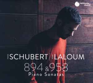 Franz Schubert - 894 & 958 Piano Sonatas album cover