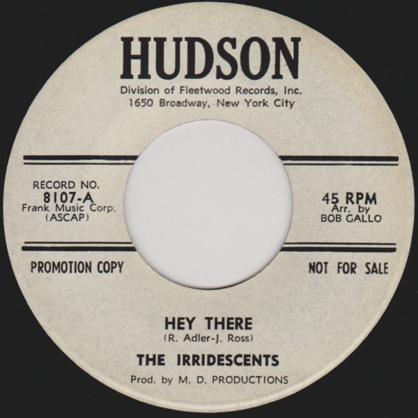 last ned album The Irridescents - Hey There I Found You