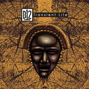 B12 - Transient Life