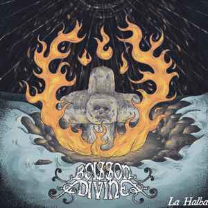 Boisson Divine - La Halha
