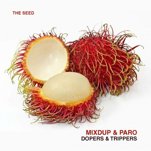 baixar álbum Mixdup & Paro - Dopers Trippers