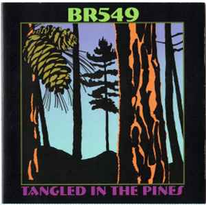 Tangled In The Pines - BR549