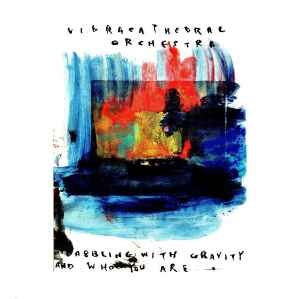 Dabbling With Gravity And Who You Are - Vibracathedral Orchestra