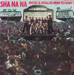 Cover of Rock & Roll Is Here To Stay!, 1970, Vinyl