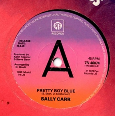 Album herunterladen Sally Carr - Pretty Boy Blue