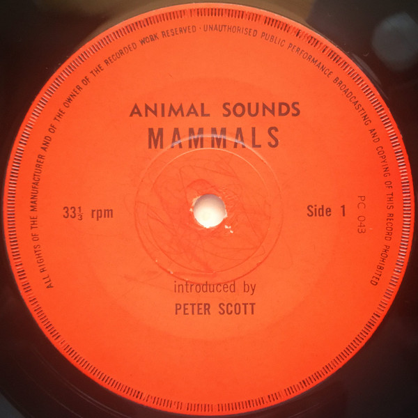 descargar álbum Unknown Artist - Animal Sounds Mammals