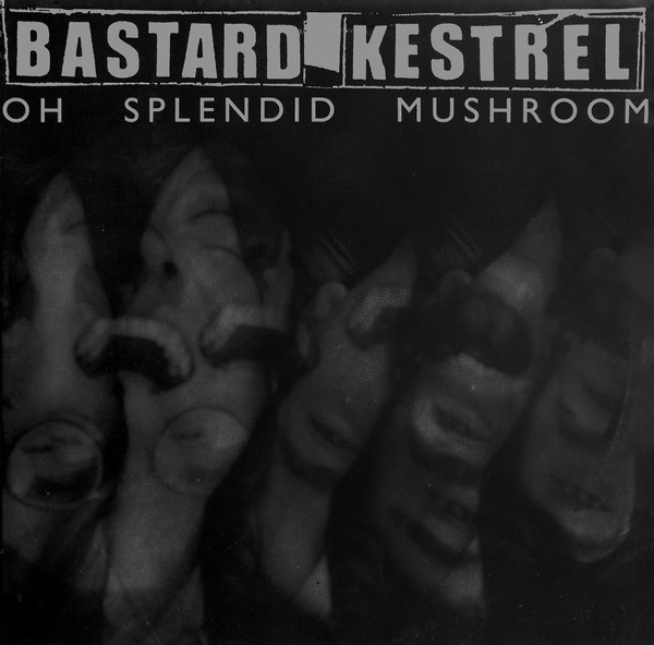 last ned album Bastard Kestrel - Oh Splendid Mushroom