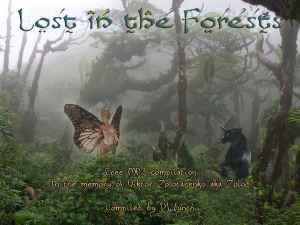 DJ Lynch - Lost In The Forests album cover