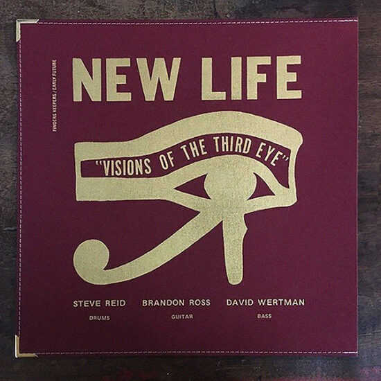 New Life Trio – Visions Of The Third Eye (2021, Vinyl) - Discogs