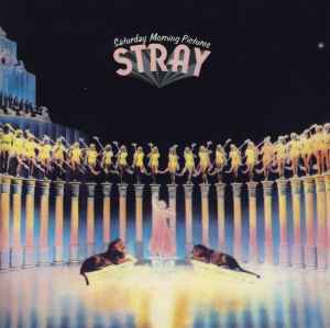 Saturday Morning Pictures - Stray