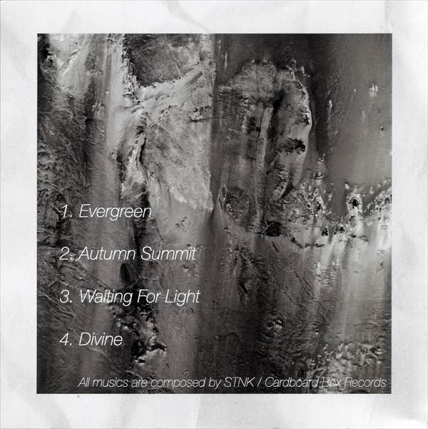 last ned album STNK - Divine EP