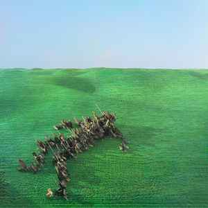 Portada de album Squid (29) - Bright Green Field
