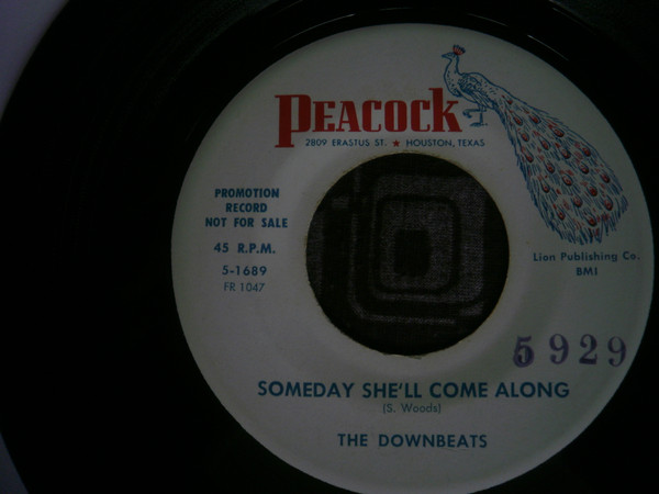 baixar álbum The Downbeats - Someday Shell Come Along