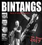 descargar álbum Bintangs - Acoustic Adventures