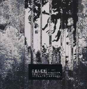 Celer - Salvaged Violets album cover